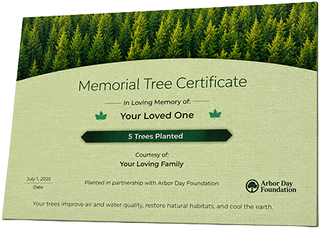 Plant Trees in Memory of Mr. Joe Butler